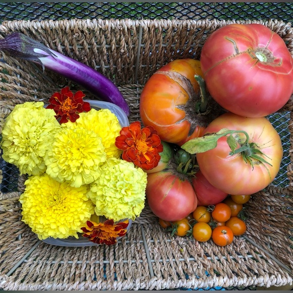 Meet your Posher, Jenni - Picture 12 of 13